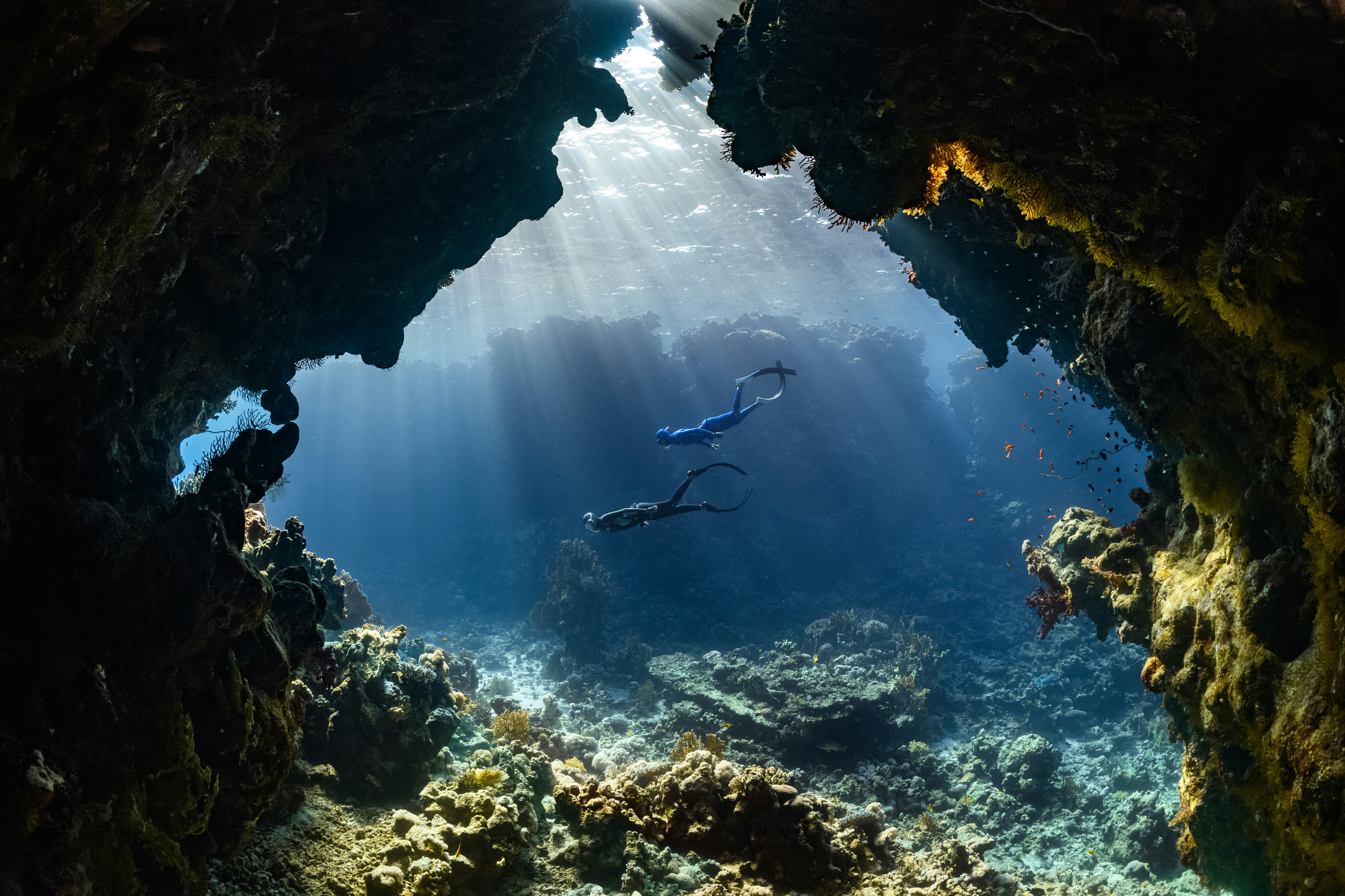 Freediver in NEOM