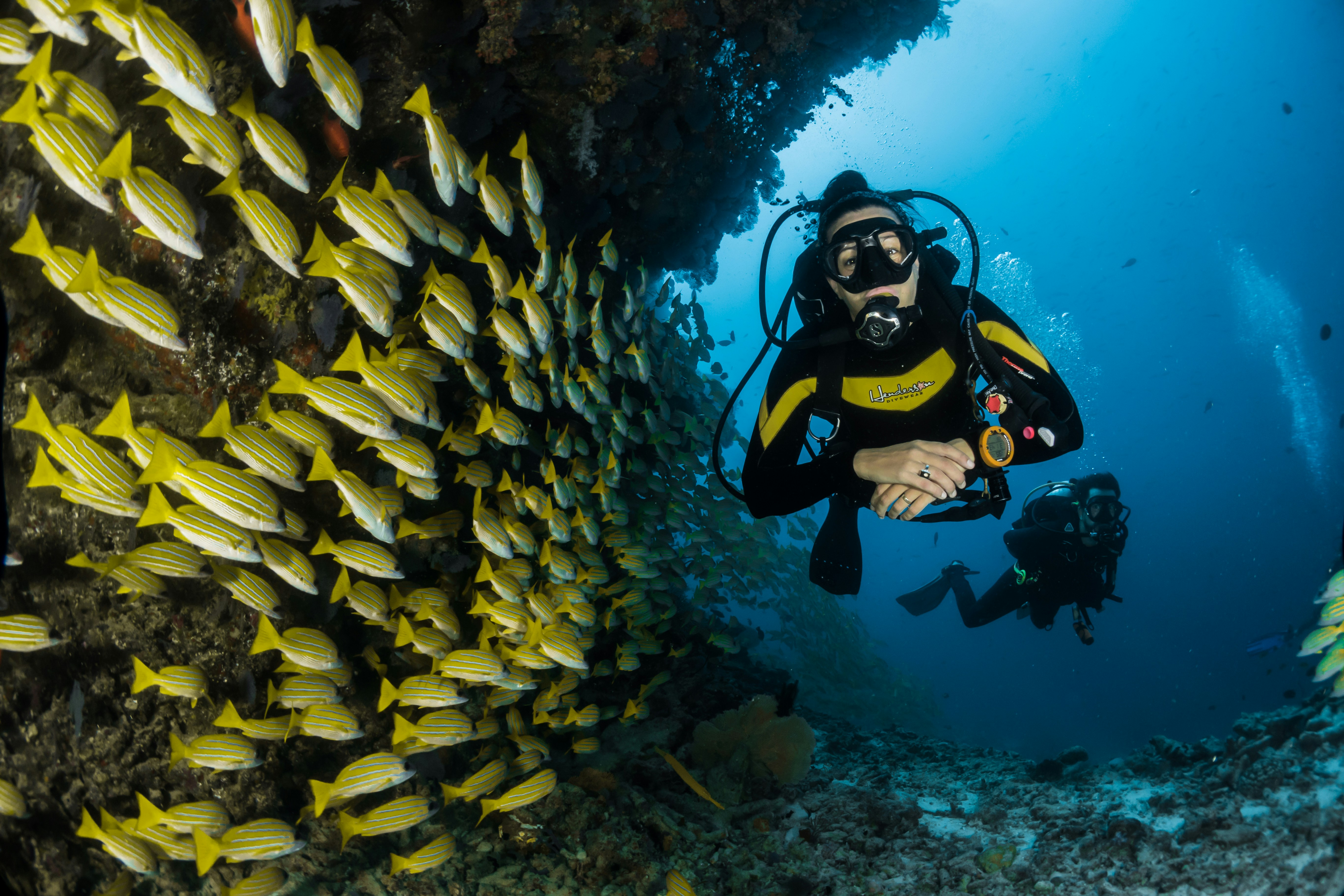 Scuba diver with a school of fish